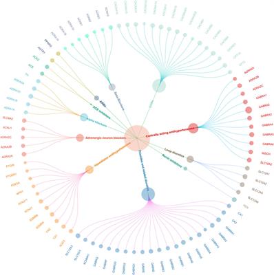 Repurposing antihypertensive drugs for pain disorders: a drug-target mendelian randomization study